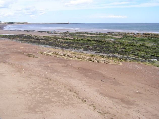 Spittal beach